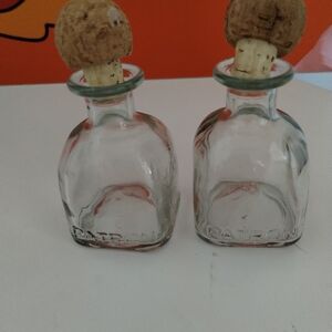 Salt and pepper or spices this set of two in glass and cork